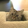 ANNIKA - Offered by Owner
