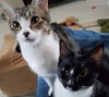 Treena and Trinity - Bonded young sisters