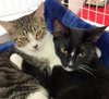 Treena and Trinity - Bonded young sisters