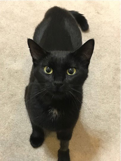 MOLLY - Sweet young adult