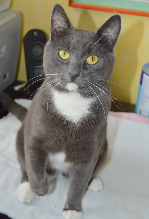 Mr.BUTTERS - Offered by Owner - Young male