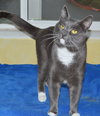 Mr.BUTTERS - Offered by Owner - Young male