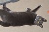 Mr.BUTTERS - Offered by Owner - Young male