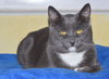 Mr.BUTTERS - Offered by Owner - Young male