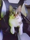 PRISHE & ULMIA - Offered by Owner - Young Sisters