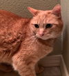 JESSE - Offered by Owner