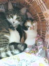 PATTY & POLLY - Bonded Teen Sisters