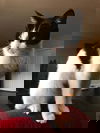 BEAN - Teen female