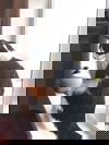 BEAN - Teen female