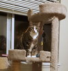 MAX-A-MILLION - Offered by Owner Senior