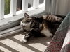 MAX-A-MILLION - Offered by Owner Senior