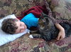 LUX - Great Family Cat!
