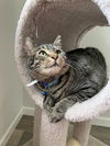 Evan & Montana - Bonded buddies
