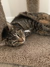 Evan & Montana - Bonded buddies