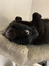 Evan & Montana - Bonded buddies