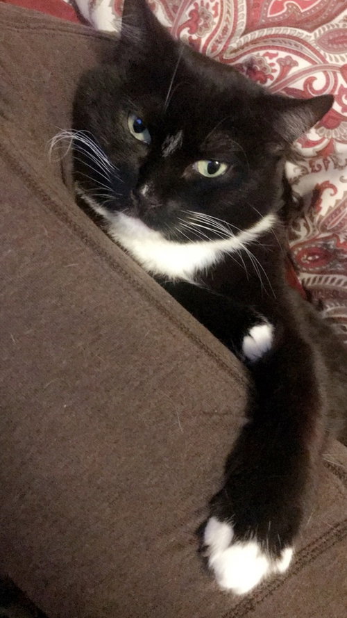 MIMI - Offered by Owner Senior