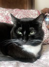 MIMI - Offered by Owner Senior