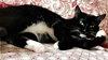 MIMI - Offered by Owner Senior