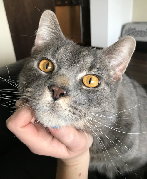ASHE - Offered by Owner YOUNG and BIG