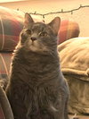 ASHE - Offered by Owner YOUNG and BIG