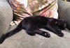 DOUGALL & FERGUS - Offered by Owner- SPECIAL NEEDS