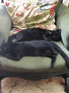 DOUGALL & FERGUS - Offered by Owner- SPECIAL NEEDS