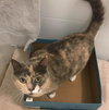 Mukwai and Shadow - Offered by Owner sisters