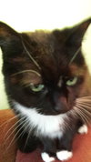 SOPHIE - Offered by Owner