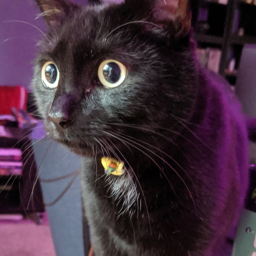 TRICKY - Offered by Owner - Young Female