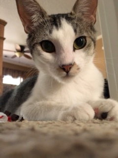 LUNA - Pretty and Young