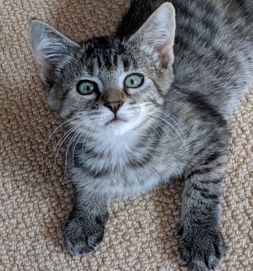 ESMERELDA