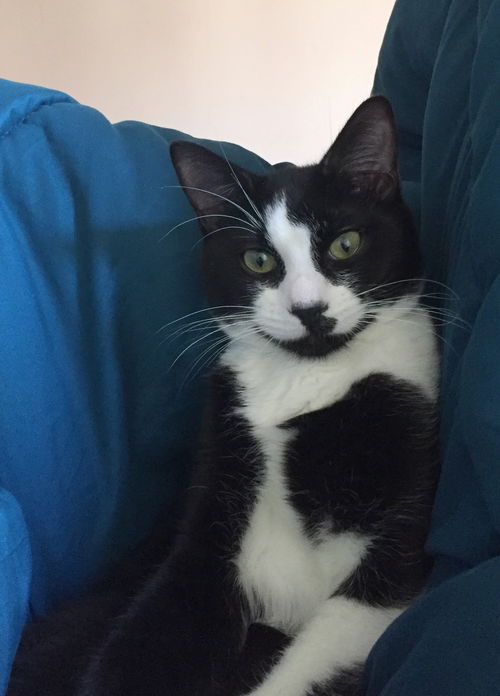 ALVY - Offered by Owner - Young adult