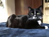 TEEMO - Offered by Owner Young Adult
