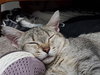 LULU