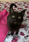 TUCKER & SOPHIE - Offered by Owner Seniors