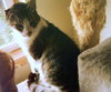 SIMON - Offered by Owner Senior Guy