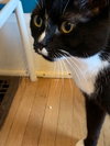 SYMBA - Offered by Owner