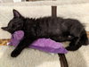 ANDY - Offered by Owner