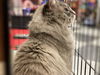JONAS - Offered by Owner - Senior