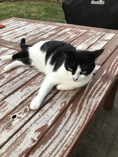 PENNY - Offered by Owner