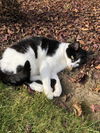 PENNY - Offered by Owner