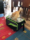SID - Offered by Owner