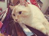 NORMAN - Offered by Owner