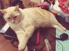 NORMAN - Offered by Owner