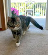 ANISTON (Annie) Offered by Owner - Pretty Senior
