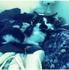 ARNIE - Offered by Owner