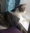 CHESTER - Offered by Owner Senior