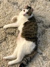 EMMA - Offered by Owner - Special Senior