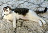 EMMA - Offered by Owner - Special Senior