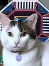 DUCKY - Offered by Owner
